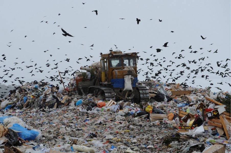 Власти Москвы отказались от идеи дополнительного размещения мусора на полигоне «Малинки»
